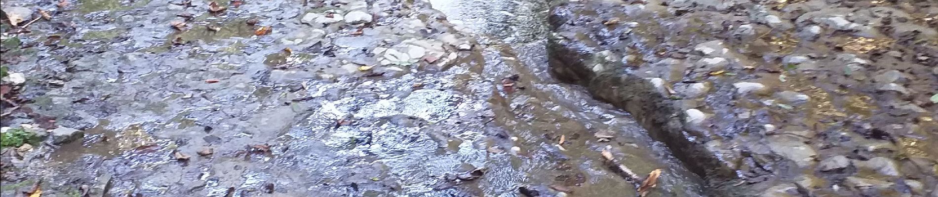 Tour Wandern Ornans - Ornans cascade Boneille - Photo