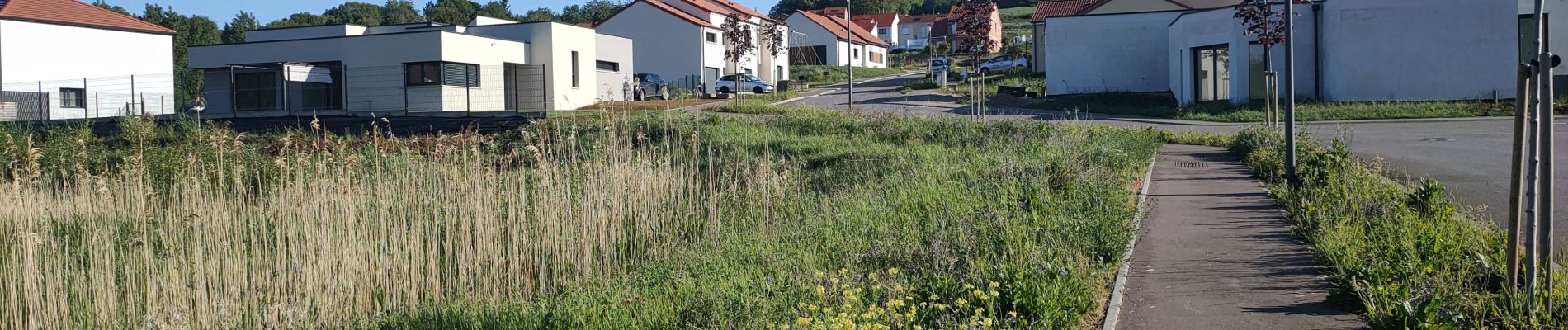 Tour Wandern Saulny - saulny gds journeaux - Photo