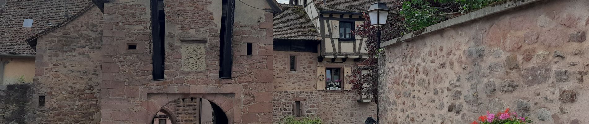 Tour Wandern Hunaweier - De Hunawihr à Riquewihr - Photo