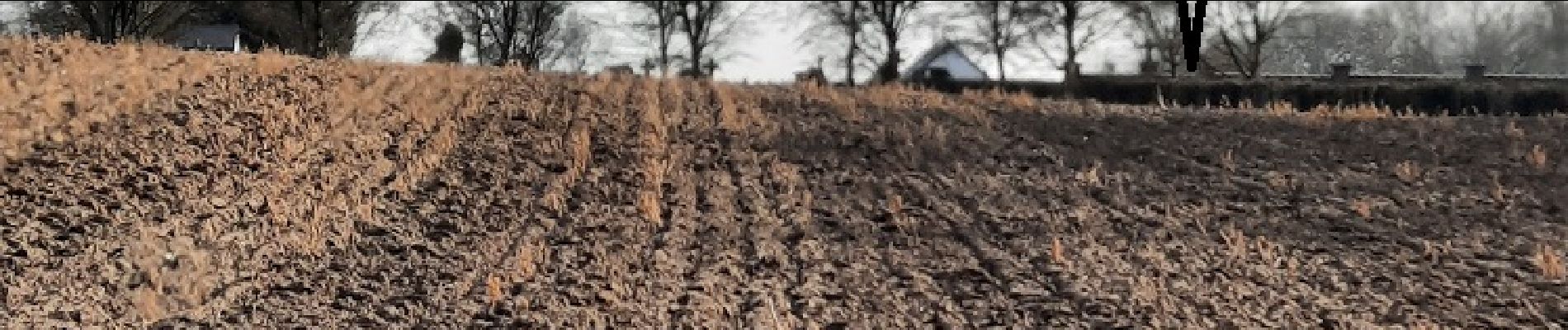 Punto di interesse Villers-la-Ville - Vue sur le cimetière de Marbais - Photo