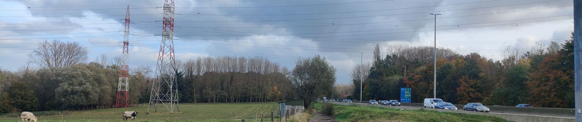 Randonnée Marche Asse - zellik et autre - Photo