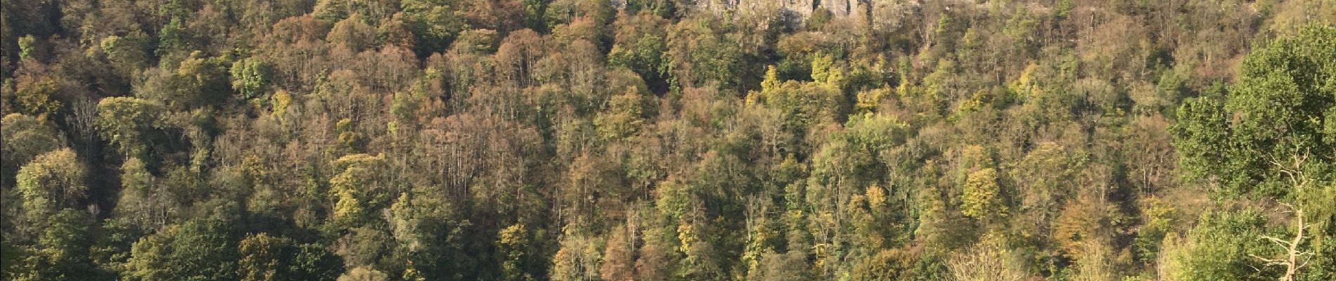 Randonnée Marche Esneux - Boucle de l’Ourthe  - Photo