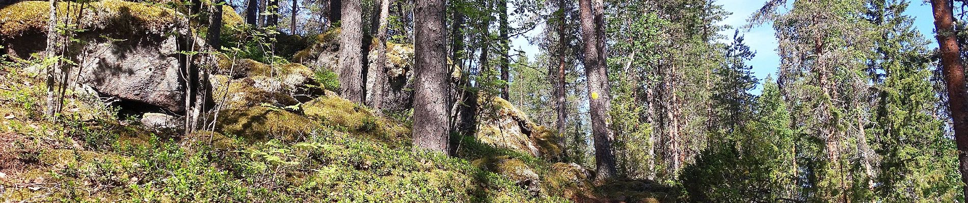 Tour Zu Fuß Rautalampi - Kalajan kierros - Photo