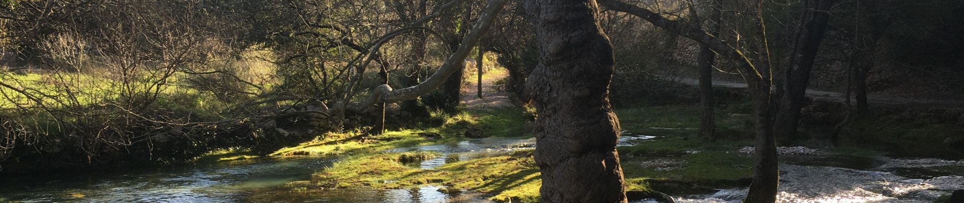 Tour Wandern Pégairolles-de-Buèges - Cirque de la Seranne - Pegairolles-de-Buèges - Photo