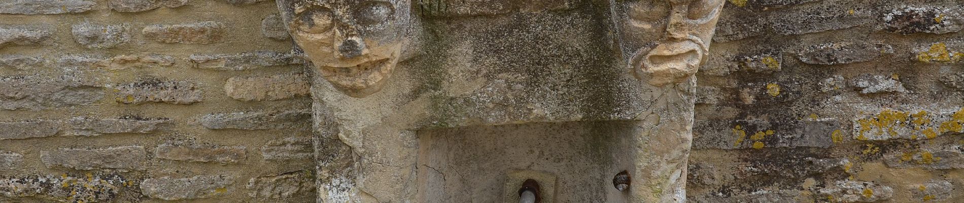 Tocht Te voet Mézidon Vallée d'Auge - Vignes et Pommiers - Photo