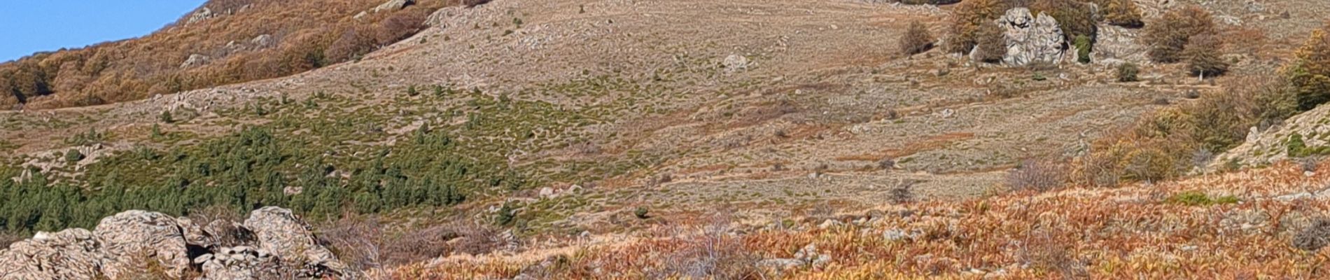 Tour Wandern Cambia - San Pétrone boucle de Loriani - Photo