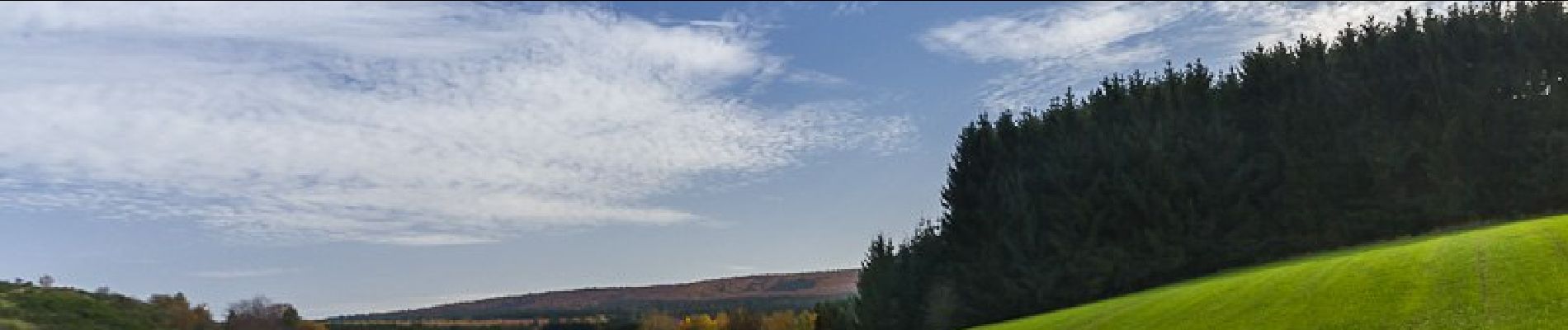 Randonnée A pied Schillingen - Schillinger Panoramaweg - Photo