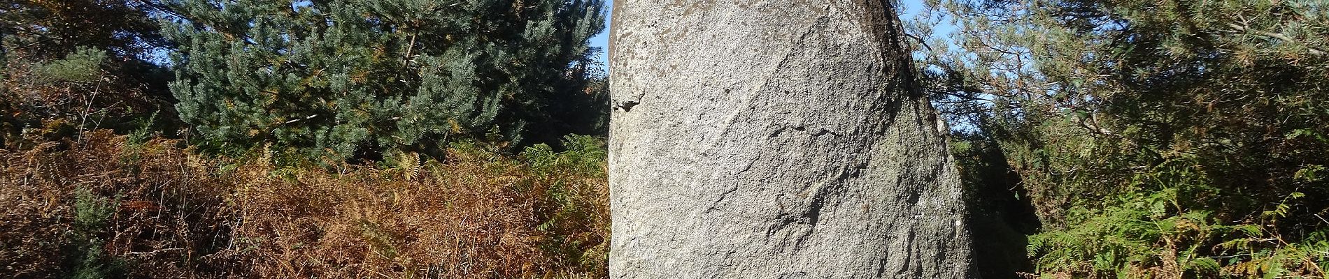 Percorso A piedi Saissac - Entre château et Rigole - Photo