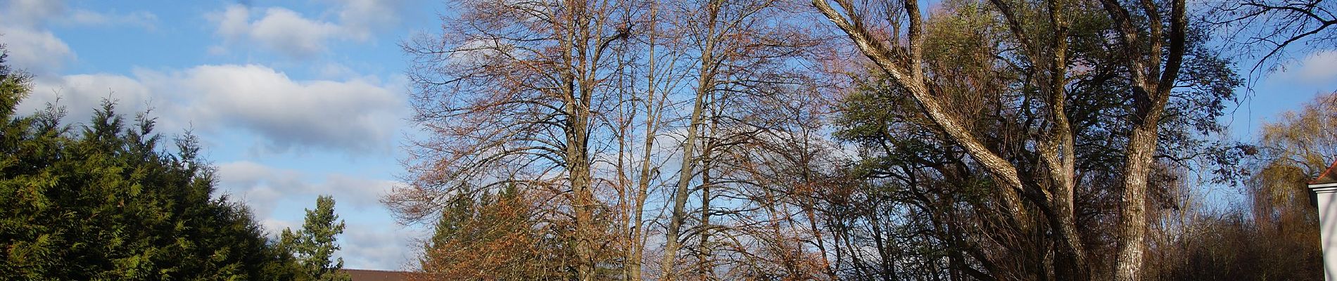 Excursión A pie Neumarkt in der Oberpfalz - Graßahofer Rundweg - Photo