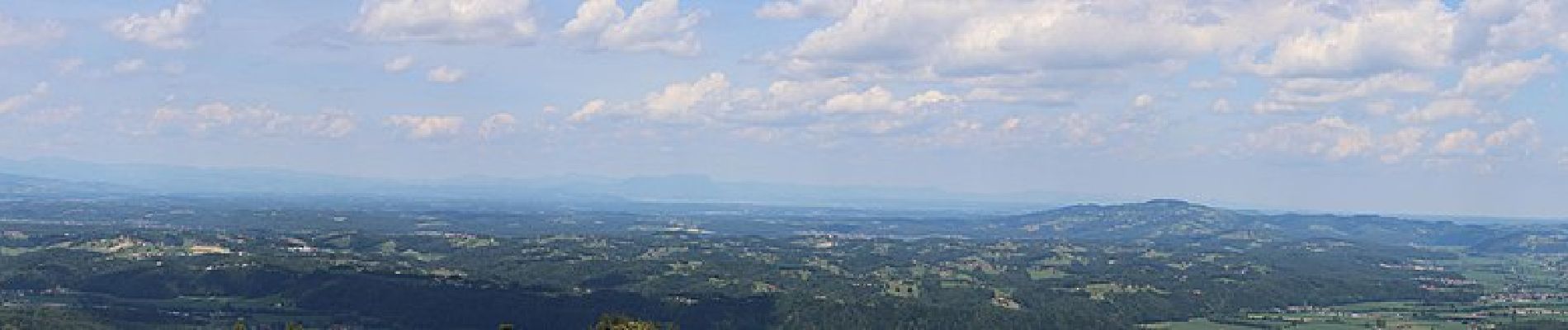 Tocht Te voet Eibiswald - Pot po mejah občine - Photo