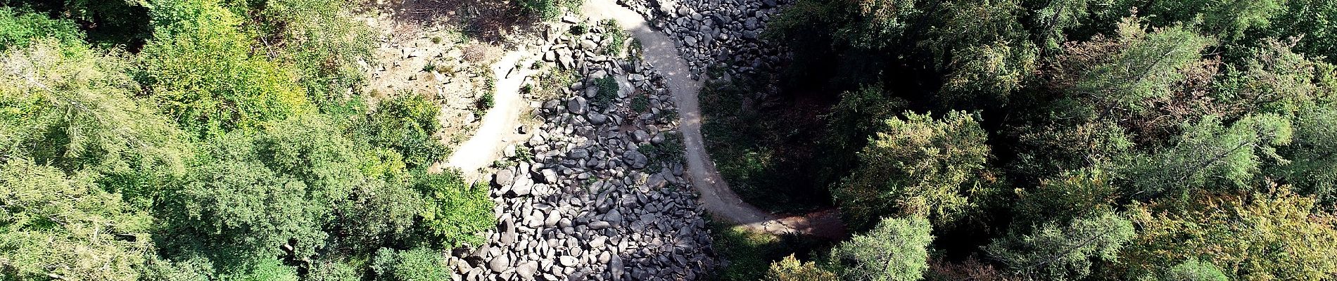 Randonnée A pied Lautertal - Rundwanderweg Felsenmeer 3: Großer Felsenmeer-Weg - Photo