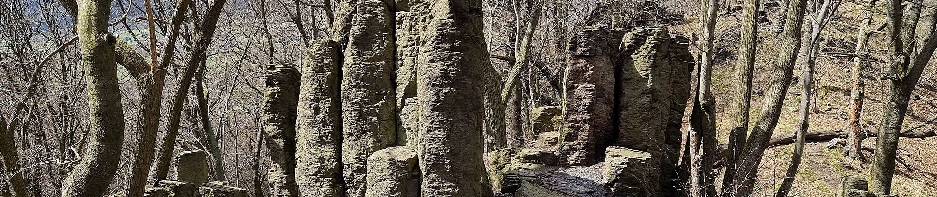 Tour Zu Fuß Liebeschitz - [Ž] Liběšice - Sedlo (pod vrcholem) - Photo