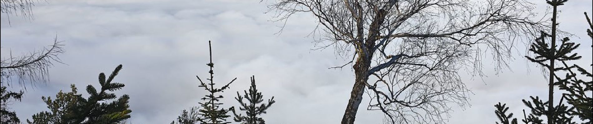 Tocht Te voet Eisenkappel-Vellach - Wanderweg 20 - Photo