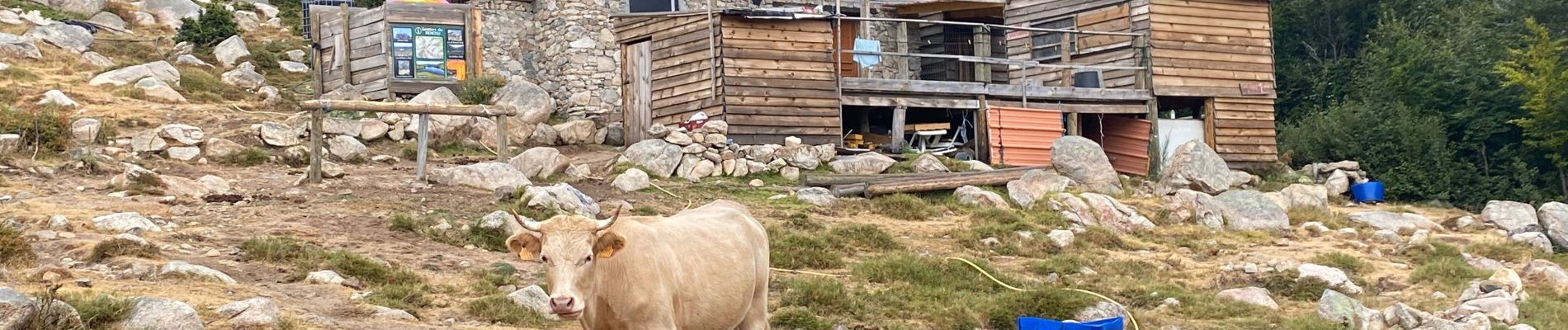 Tour Wandern Ghisoni - Col de Verde vers Pozzi - Photo