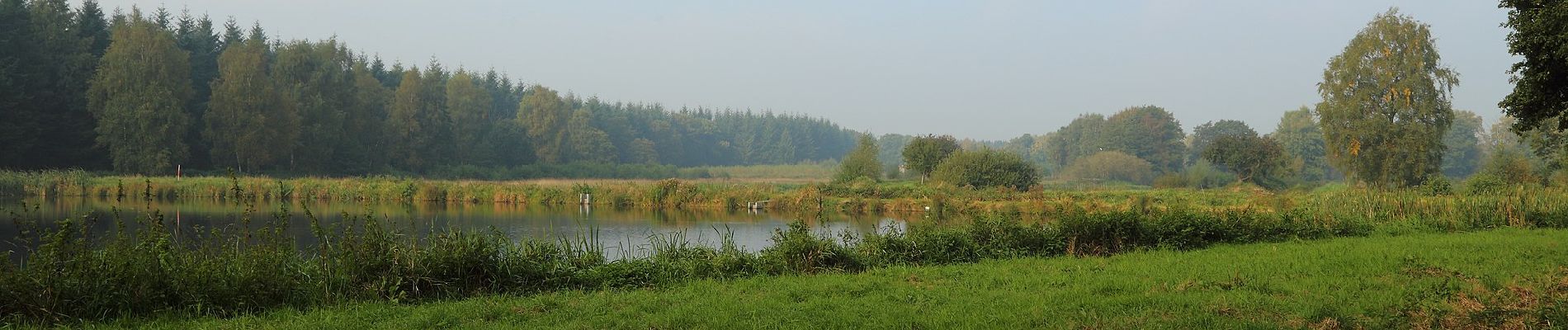 Randonnée A pied Großenkneten - Heidegrashüpfer Rad-Wander-Weg - Photo