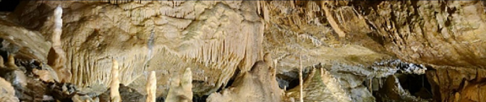 Point of interest Hotton - Grottes de Hotton - Bon plan - A visiter à proximité de la balade - Photo