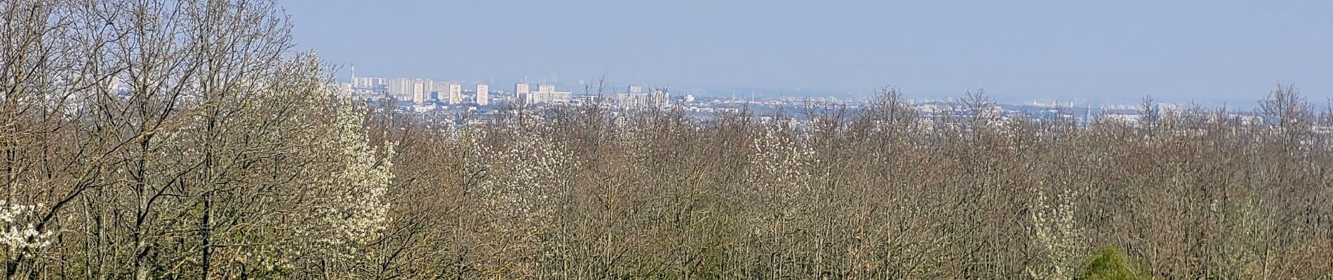 Randonnée Marche Verrières-le-Buisson - Boucle autour de Verrières le Buisson - Photo