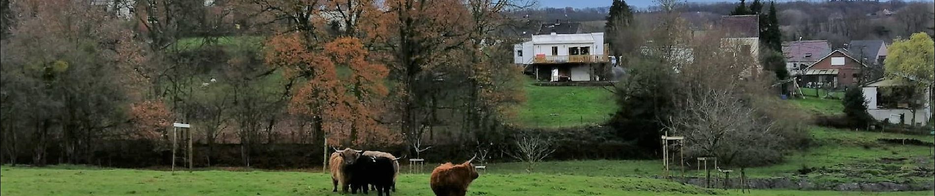 Randonnée Marche Braine-le-Château - #201214 - Braine-le-Château, Les Monts, Les Fonds et Bruyère Landuyt - Photo