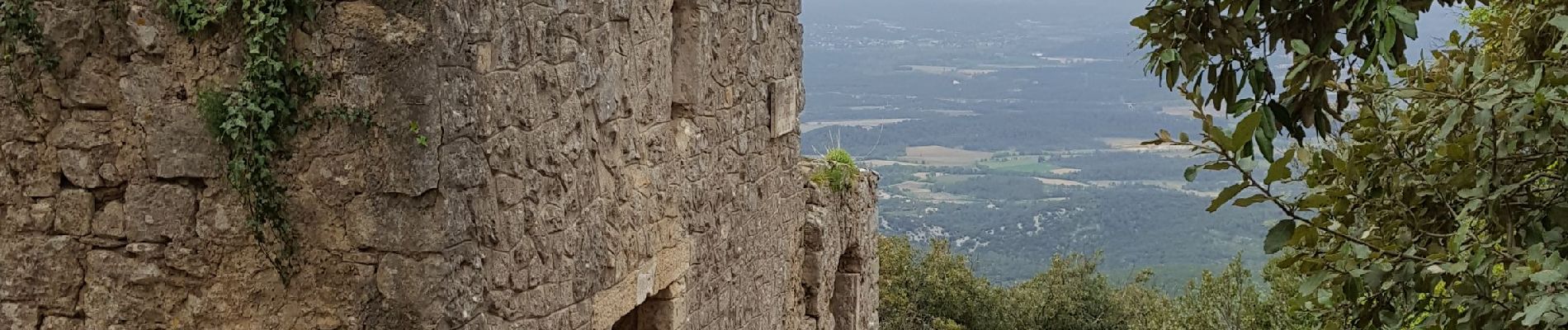 Tour Wandern Cazevieille - Pic St Loup - Photo