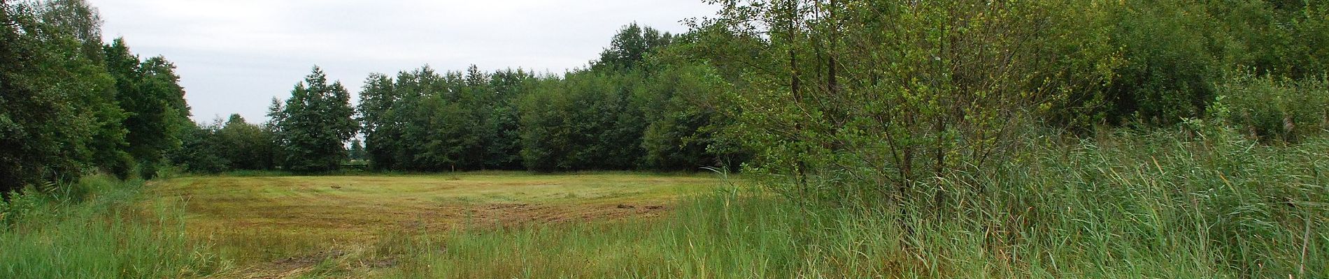 Excursión A pie Epe - Welkom op Tongerense Heide en Wisselse Veen! Rode route - Photo