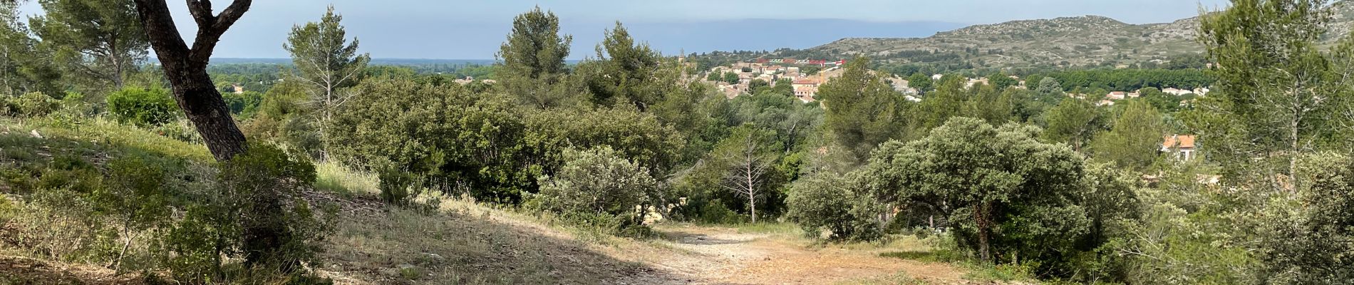 Tocht Stappen Lamanon - Le tour du cirque de Borme - Photo