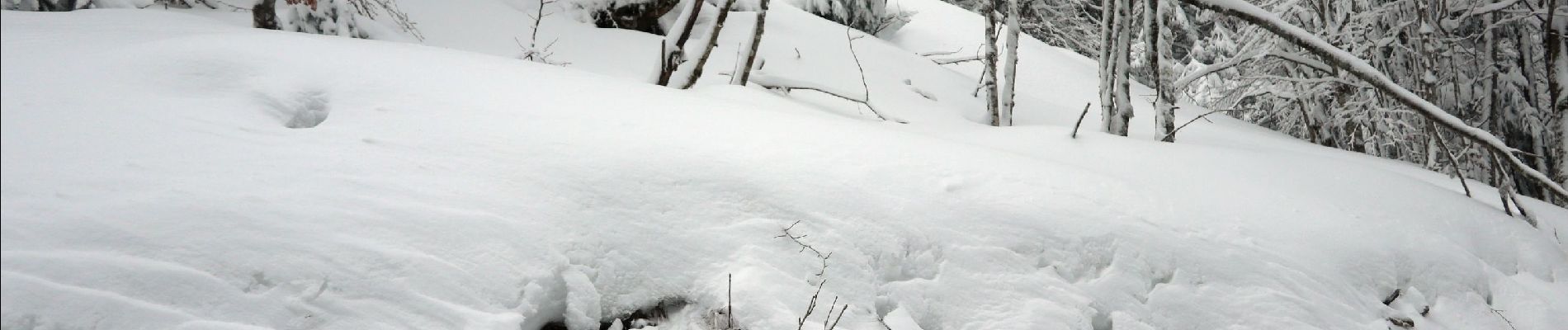 Percorso Racchette da neve Ventron - 20210124 - Col-Oderen - Christian Forgoutte - Photo