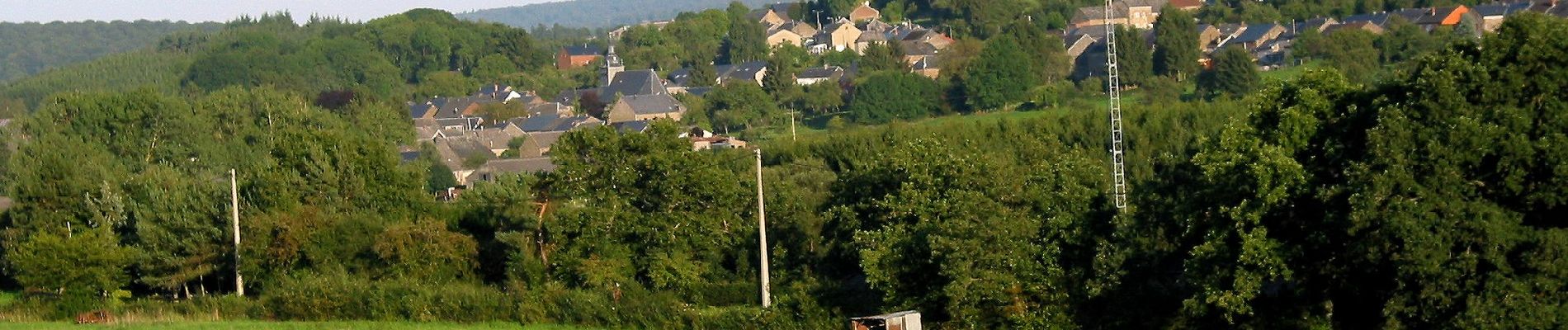 Tour Zu Fuß Tellin - TL01 Le chemin des Bruyères - Photo