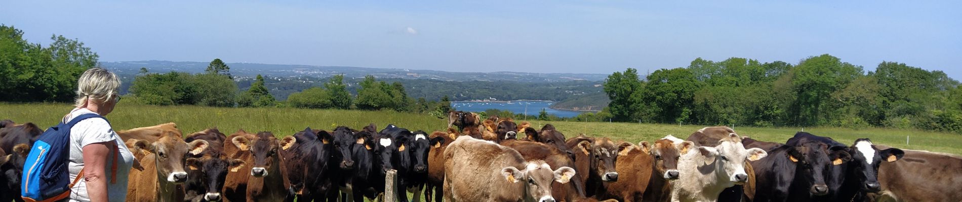 Tocht Stappen Landévennec - Landévennec  - Photo