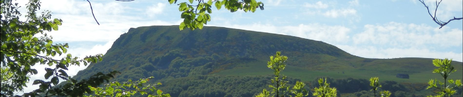 Tocht Stappen Mont-Dore - Mont_Dore_Puy_Gros_1 - Photo