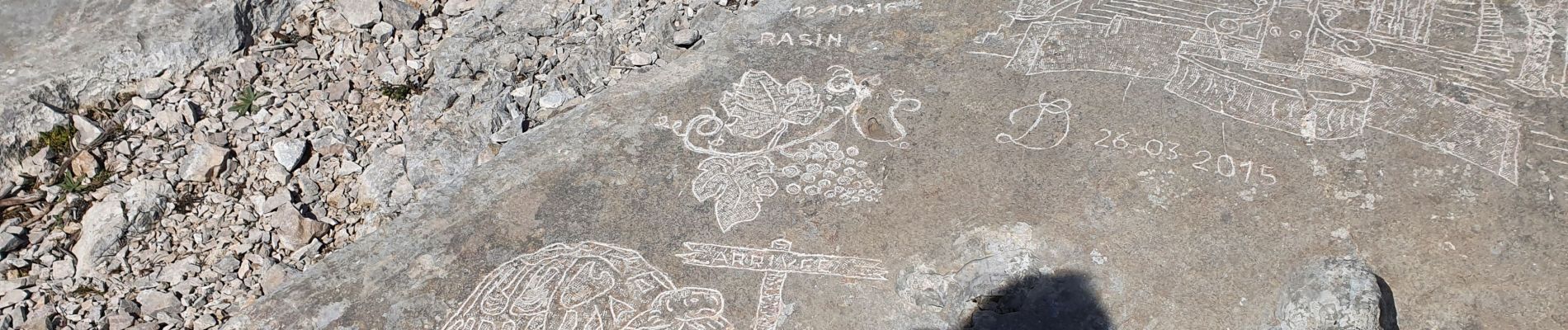 Tour Wandern Aubagne - Le Garlaban par le scolopendre - Photo