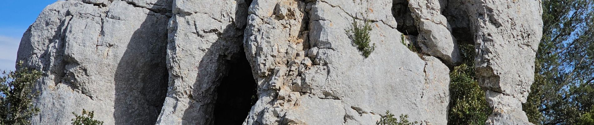 Tour Wandern Signes - Signes - L'éléphant de pierre - Photo