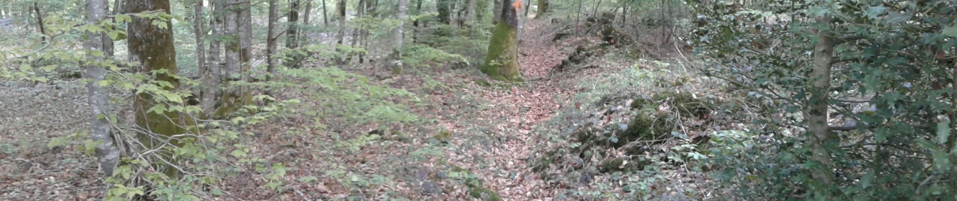 Tour Wandern Saint-Phal - Chenu-Puiseaux 14km le 03/05/2019 - Photo