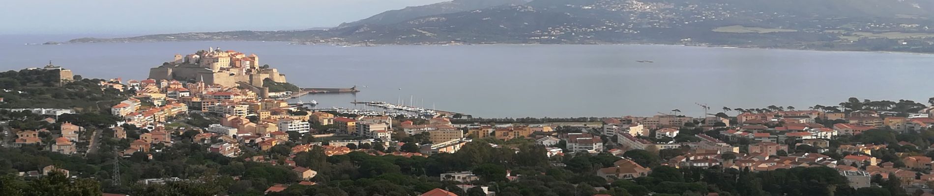 Randonnée Marche Calvi - Autour de Calvi - Photo