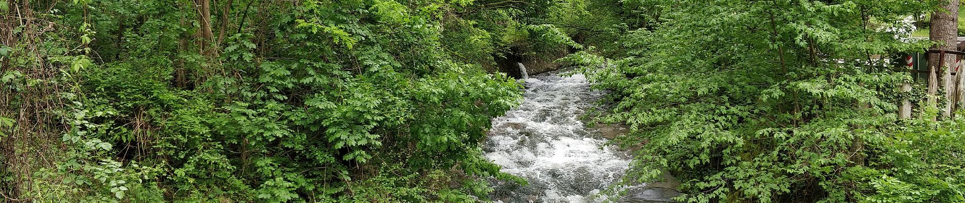 Tour Zu Fuß Leifers - Wallfahrtsweg - Photo