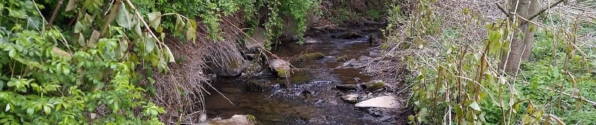 Tour Zu Fuß Morsbach - Winkel Lichtenberg - Odenspiel - Photo