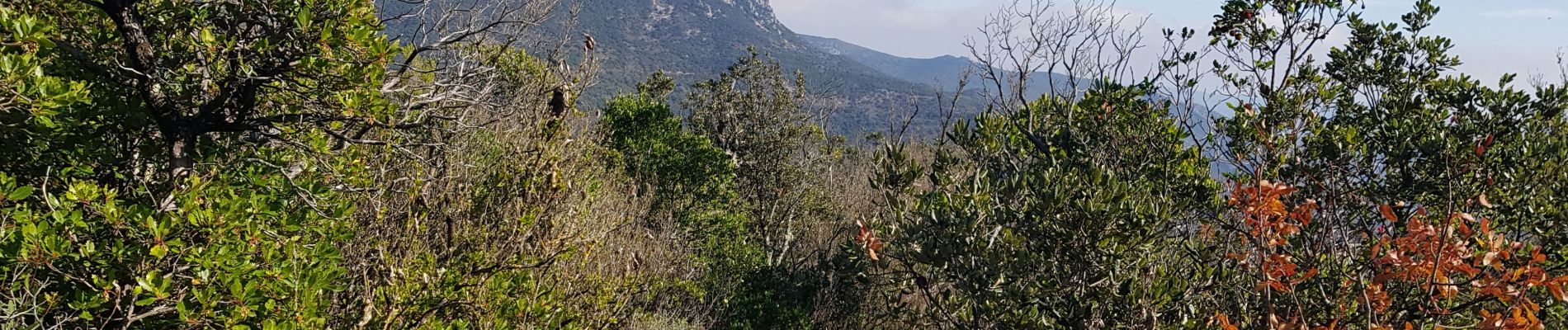 Randonnée Marche Montgaillard - Mines de Montgaillard Aude - Photo