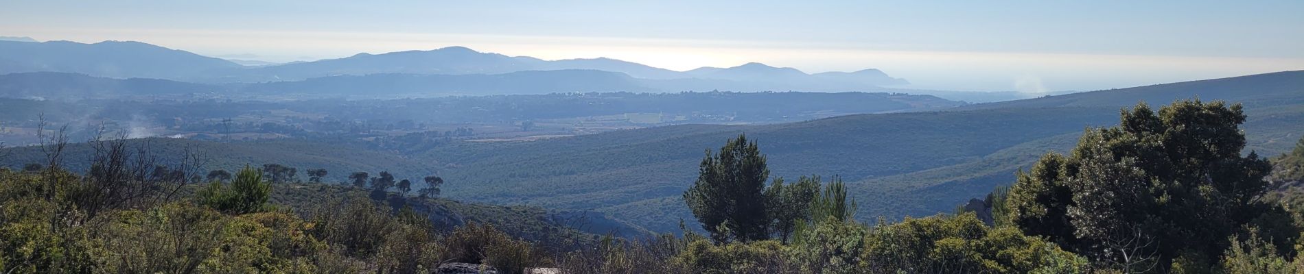 Tocht Stappen Le Castellet - Le Camp  - Photo