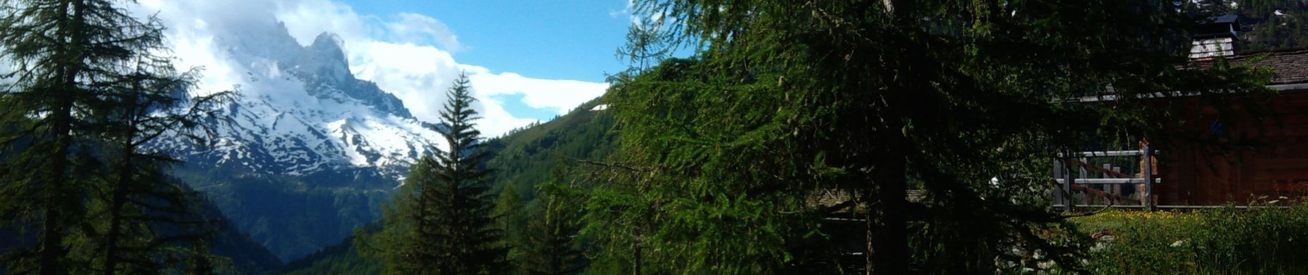 Tour Wandern Vallorcine - Refuge de Pierre à Berard - Photo