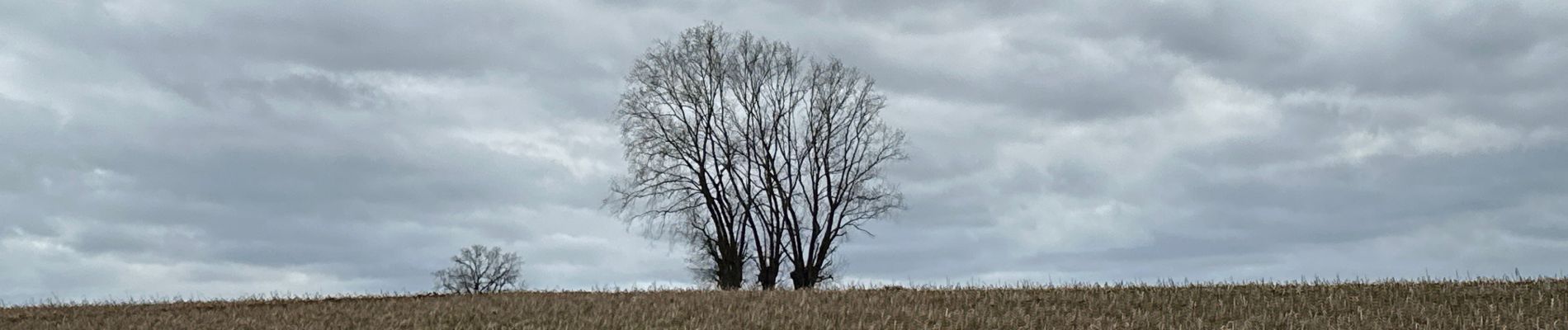 Tour Wandern Genappe - Bousval 22 km - Photo