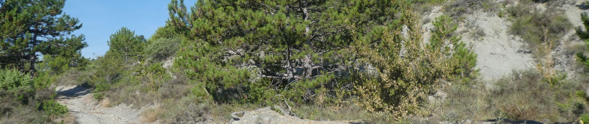 Tour Wandern Châteauneuf-de-Bordette - nyons - Photo