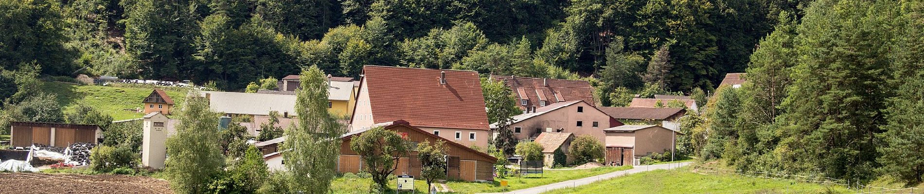 Tocht Te voet Etzelwang - Rundweg 2 - Felsgebiet Schwarzer Brand - Photo