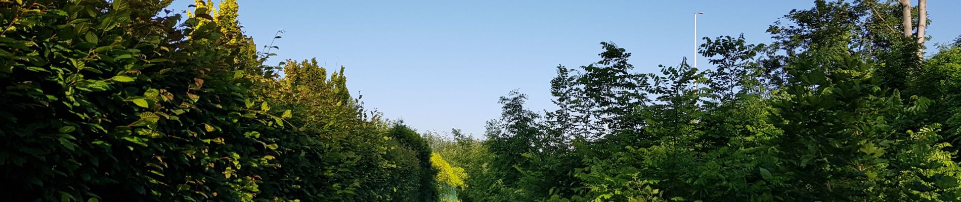 Randonnée Marche Liège - Rocourt - Xhendremael - Rocourt  - Photo