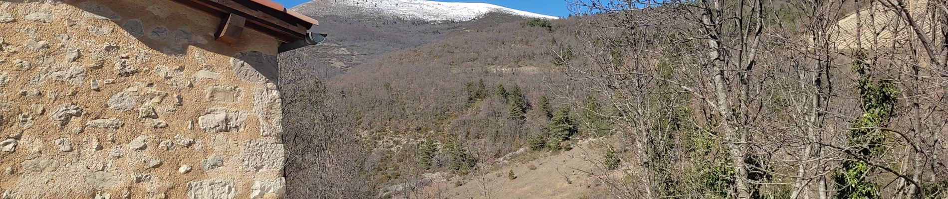 Randonnée Marche Volvent - Servelle de Brette (1612m) en AR (26) - Photo