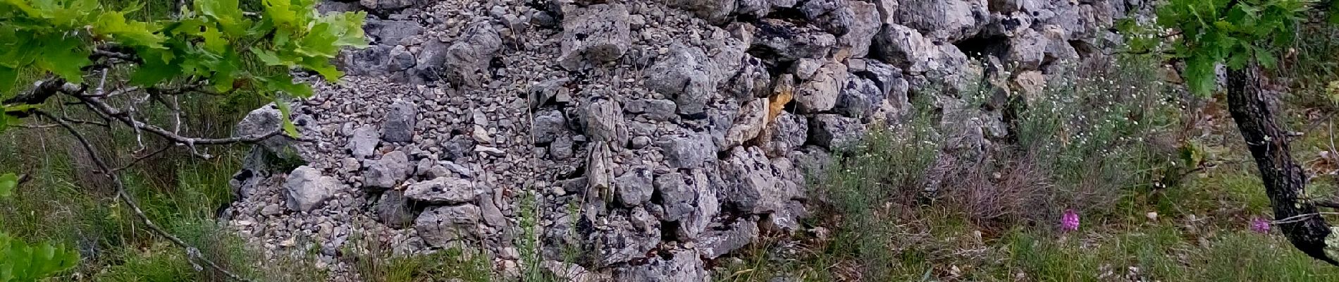 Tocht Stappen Pradines - Flottes Le Garric_Compoux de  - Photo