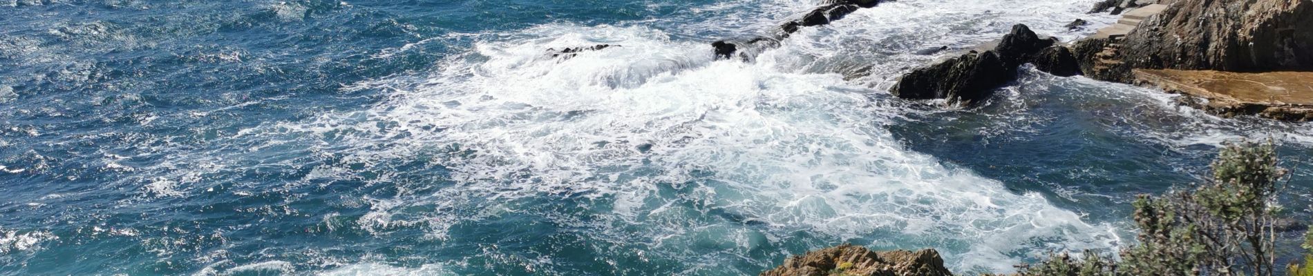 Tocht Stappen Hyères - presque ile de gien côté est - Photo