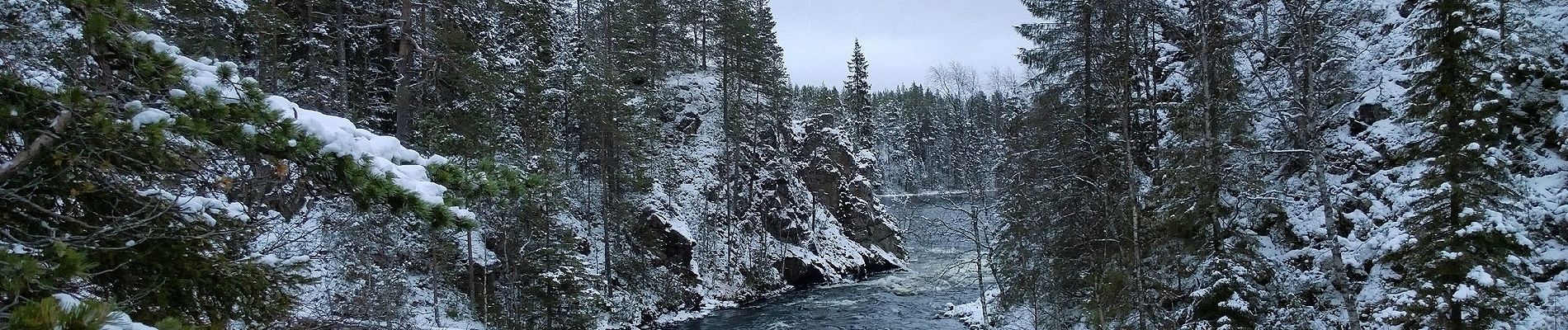 Trail On foot Kuusamo - Oulanka Wilderness Trail (Winter Trail) - Photo