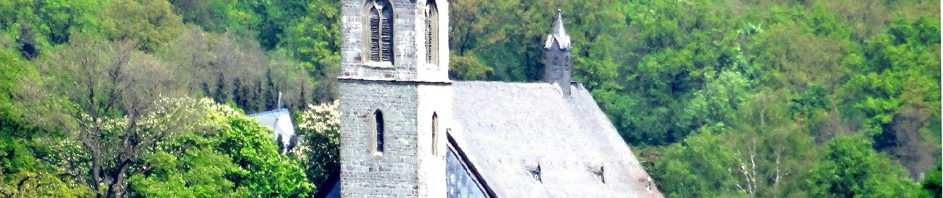 Randonnée A pied Schmallenberg - Twismecke Rundweg T17 - Photo