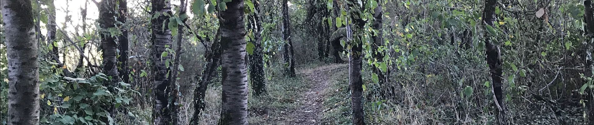 Tour Wandern Sion-les-Mines - 08.09.2019 - SION LES MINES - Photo