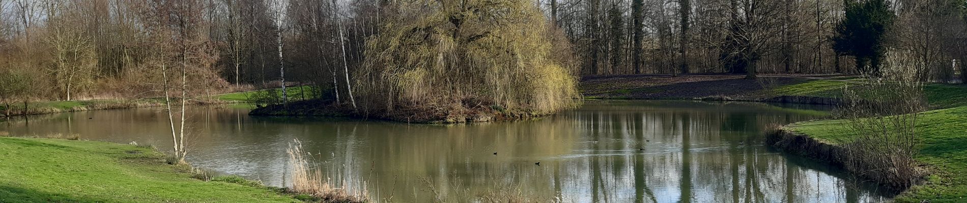 Tocht Stappen Fretin - Mélantois - La Marque - Photo