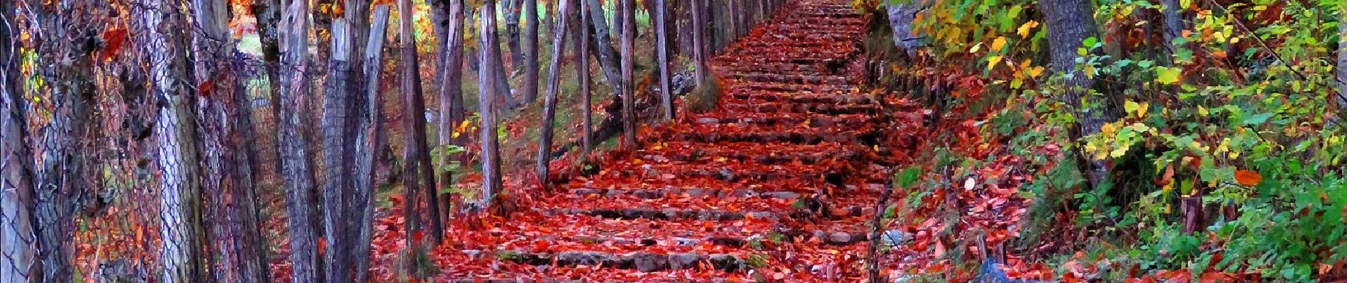 Tocht Te voet Sant'Angelo a Scala - Il sentiero di Fra Diavolo - Photo